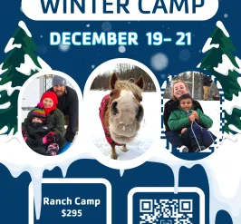 Winter Camp 2025 Poster