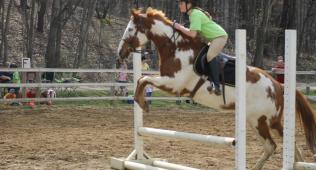 Girl Jumping with horse