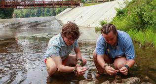 Counselors in the Creek