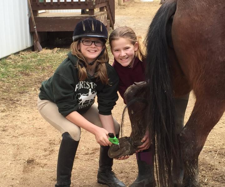 girls cleaning a horse shoe